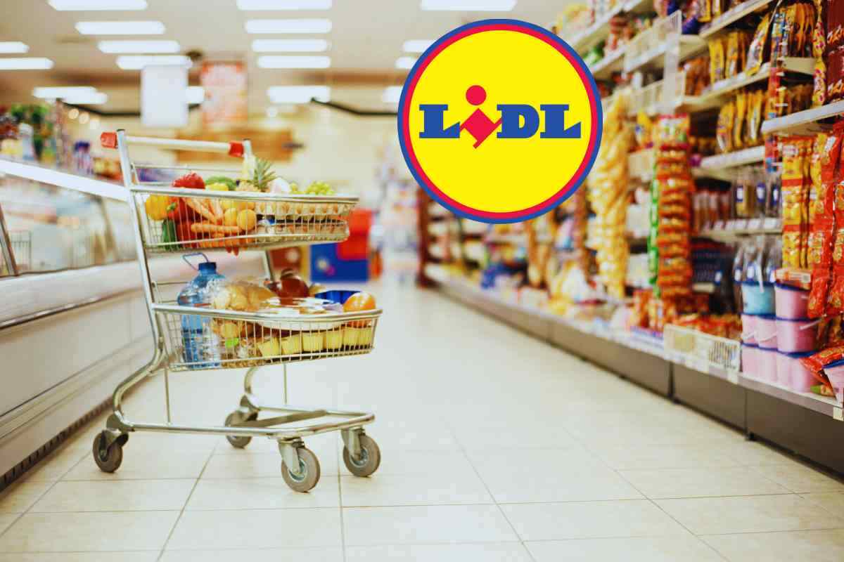 L’elettrodomestico per la tua estate lo trovi in offerta da Lidl: il prezzo è da urlo