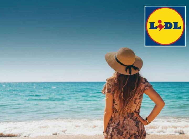 Offerta mare Lidl