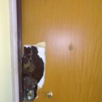 Porta con serratura cambiata dopo l'occupazione di una casa