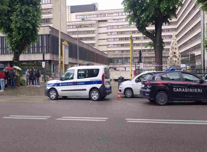 Cttadini in strada all'Eur contro gli abbattimenti di alberi
