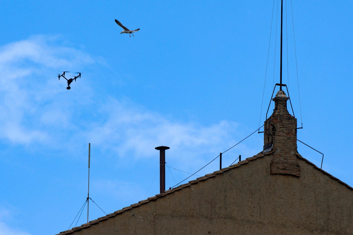 La foto del giorno, il gabbiano che “attacca” il drone sopra il comignolo della Cappella Sistina
