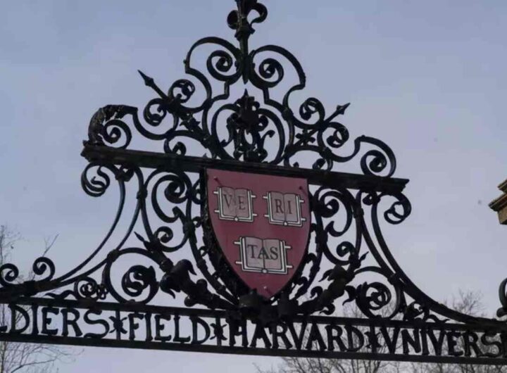 L'università di Harvard