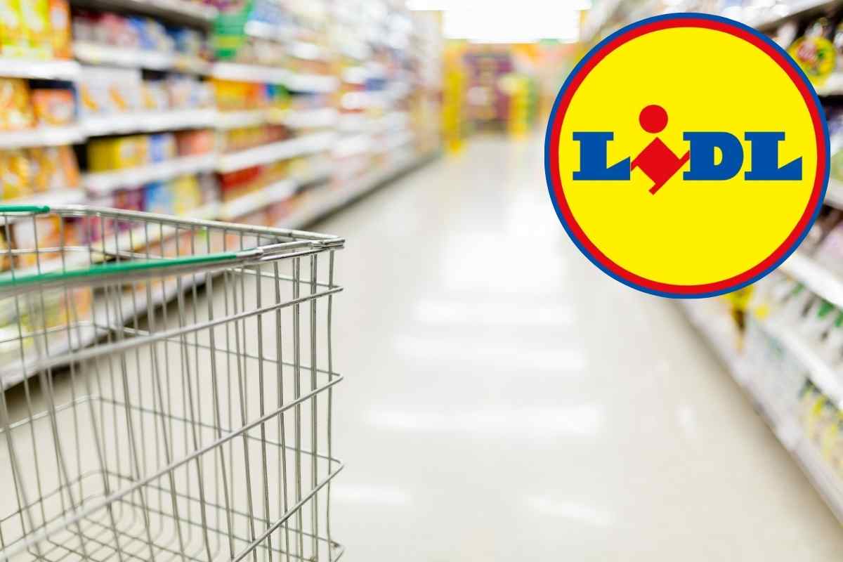 Risparmi i soldi del barbieri con la super offerta Lidl: lo stanno acquistando tutti