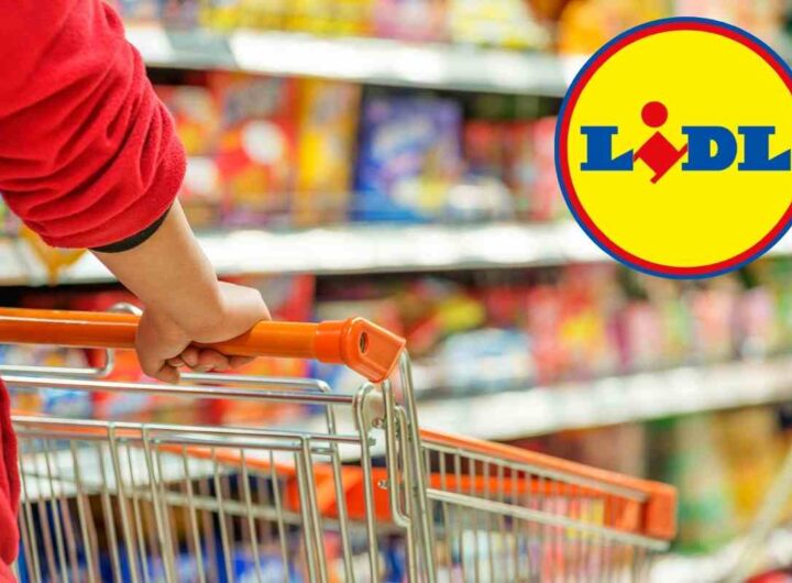 Da Lidl sono tornate le offerte per tutti gli appassionati del fai-da-te