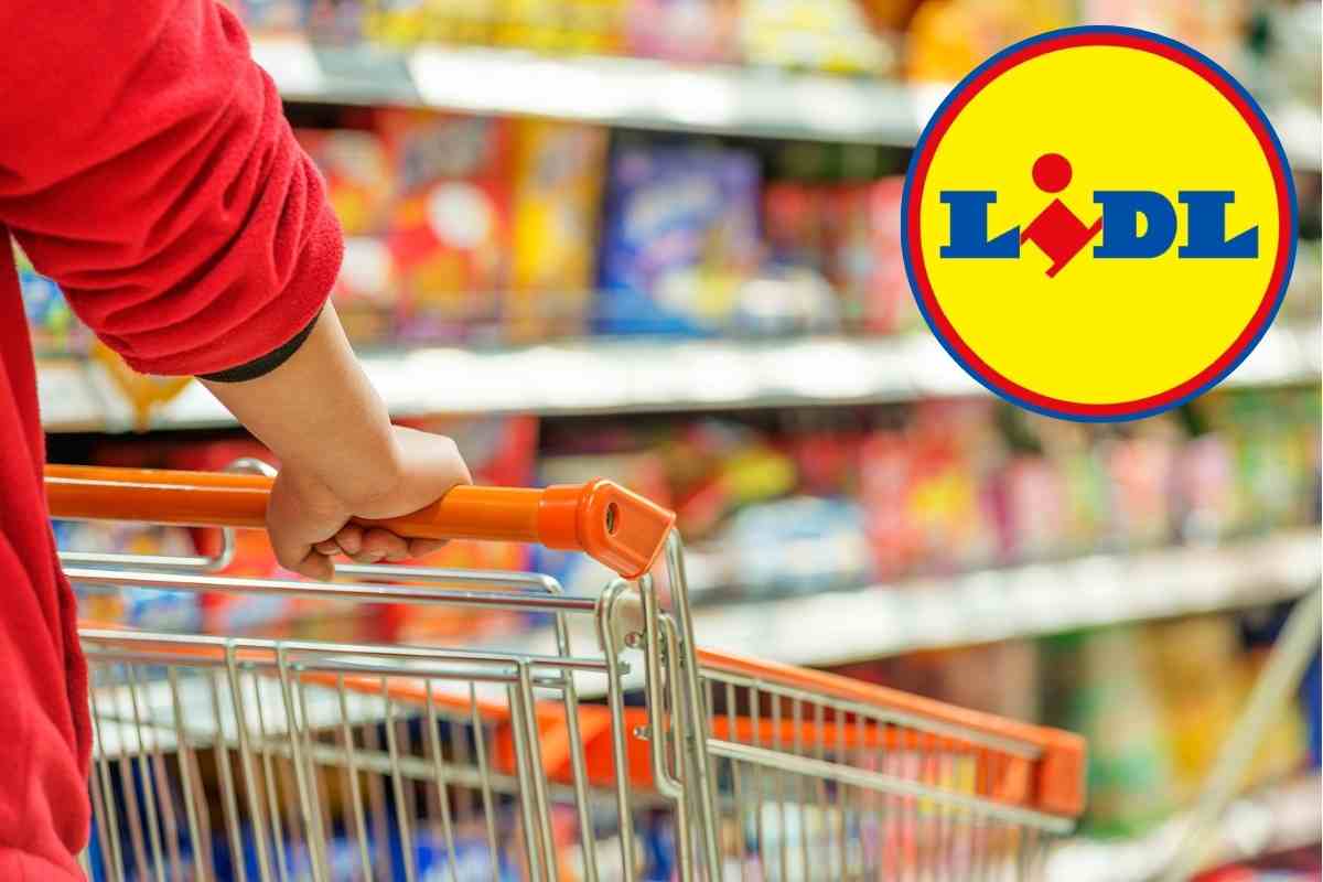 Da Lidl sono tornate le offerte per tutti gli appassionati del fai-da-te: mai visti prezzi così