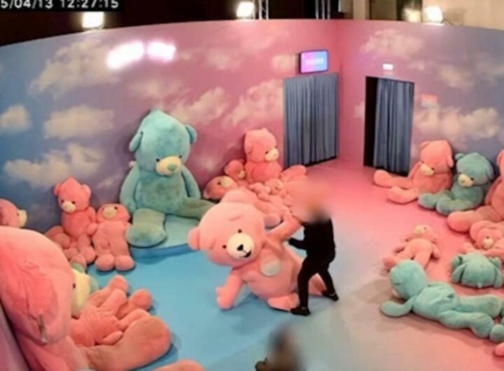 picchiata alla mostra