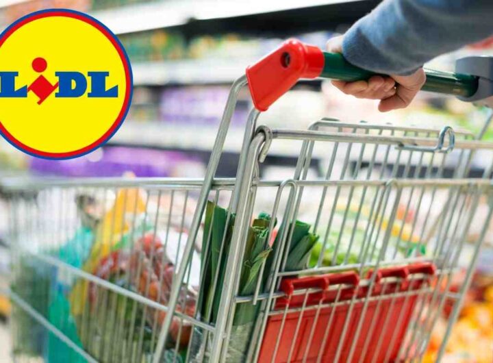 Da Lidl trovi il clone perfetto della Gillette