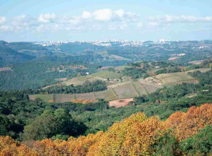 scorcio della Maremma toscana