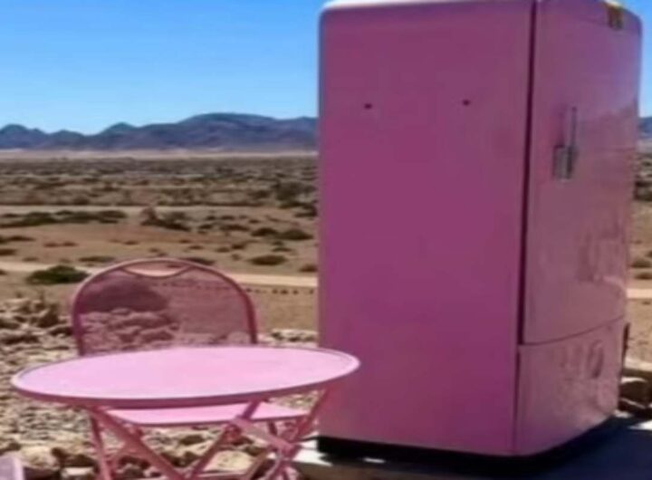 Frigorifero rosa nel deserto del Namib