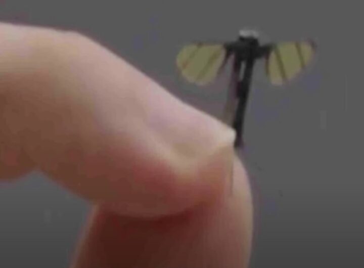 Un drone in miniatura a forma di zanzara