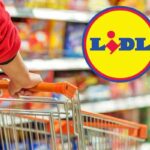 Lidl, con 24 euro ti porti a casa questo fiore all'occhiello