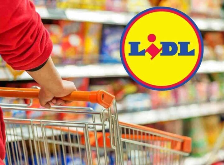Lidl, con 24 euro ti porti a casa questo fiore all'occhiello