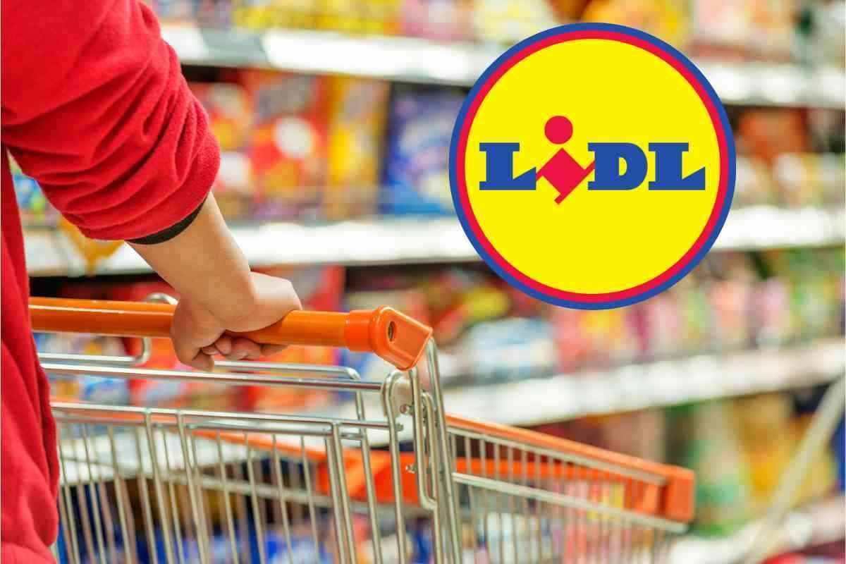 È uno dei fiori all’occhiello di Ikea e Lidl l’ha “rubato”: ora lo porti a casa a soli 24 euro