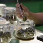 Cannabis light in vendita