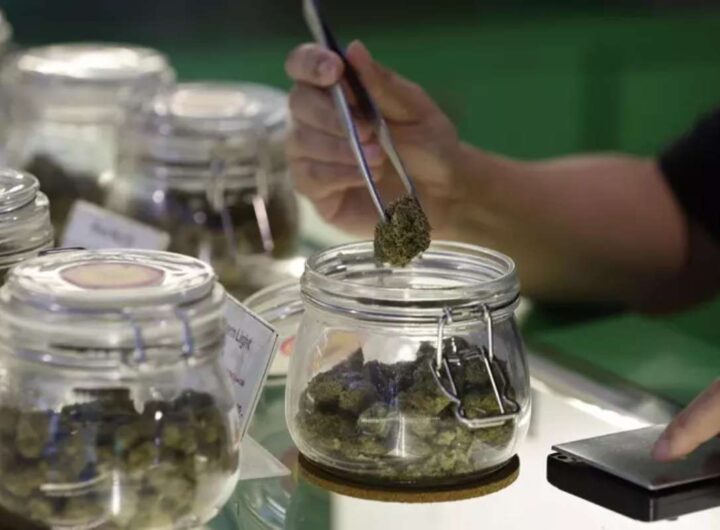 Cannabis light in vendita