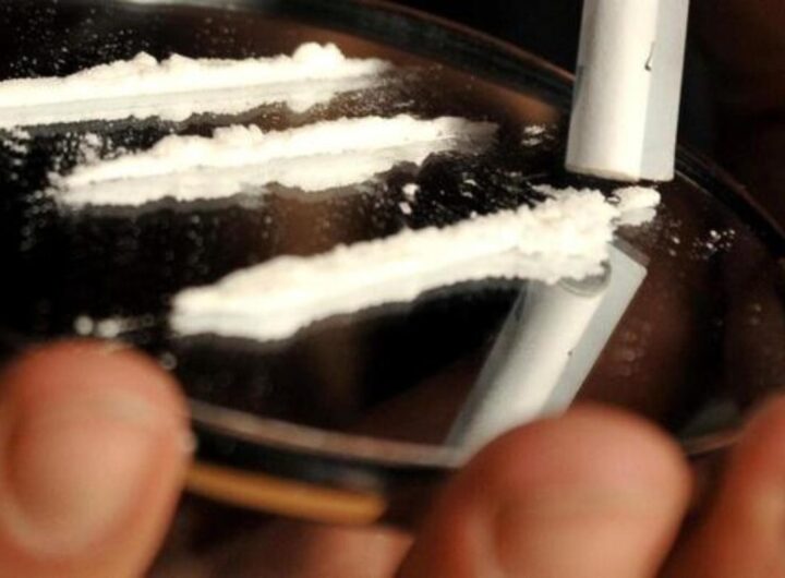 strisce di cocaina