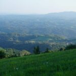 colline della Versilia