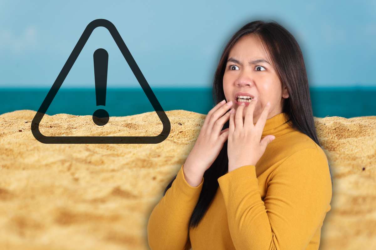 Allerta nella famosa spiaggia: “Un’invasione” se ti pizzicano ti mandano all’ospedale