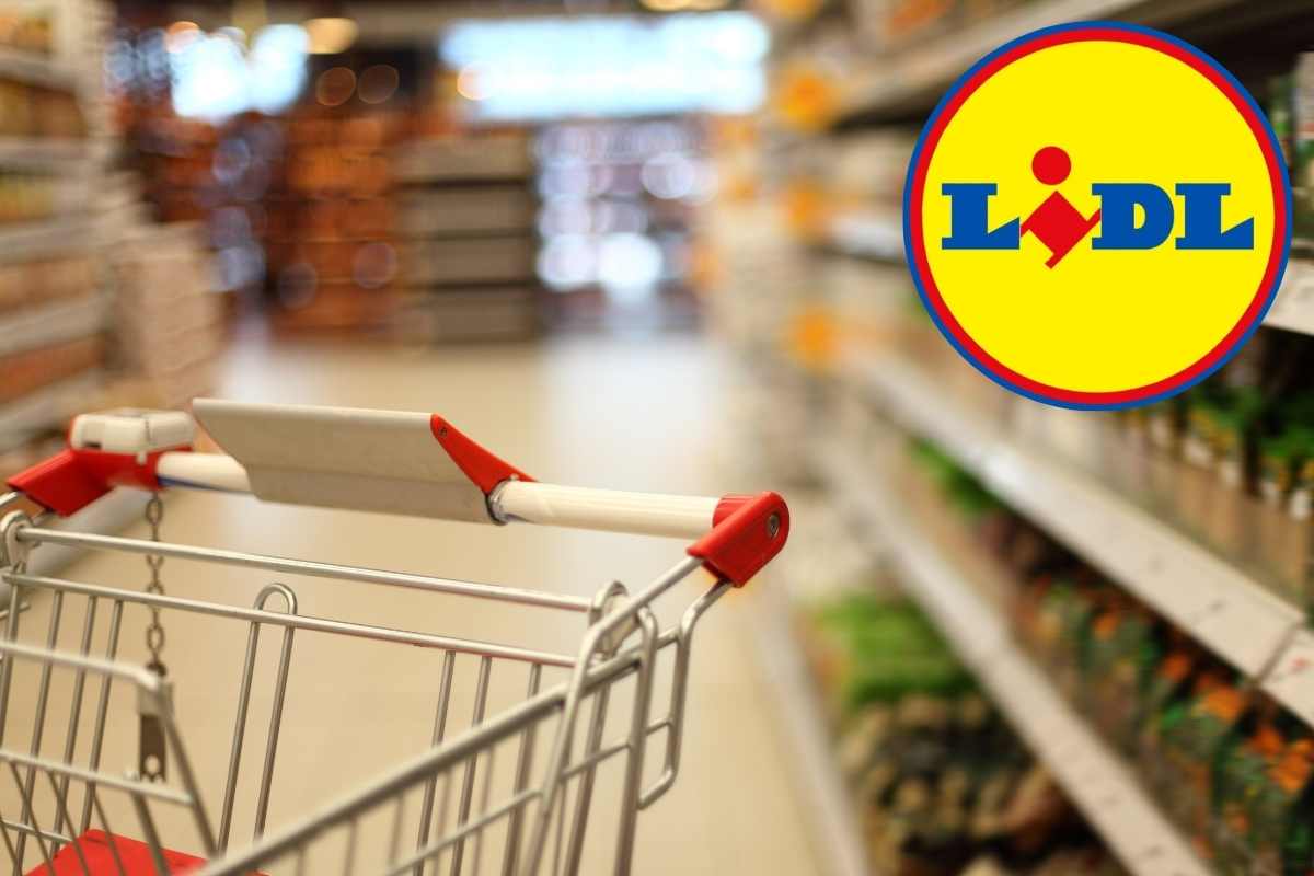 Lidl sorprende ancora, comodità, stile e risparmio: vesti tutta la famiglia con due spicci