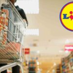 La soluzione geniale contro l’afa è a meno di 20 euro e la trovi solo da Lidl