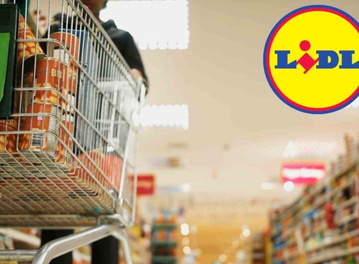 La soluzione geniale contro l’afa è a meno di 20 euro e la trovi solo da Lidl