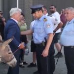 Protesta con asini in Kosovo