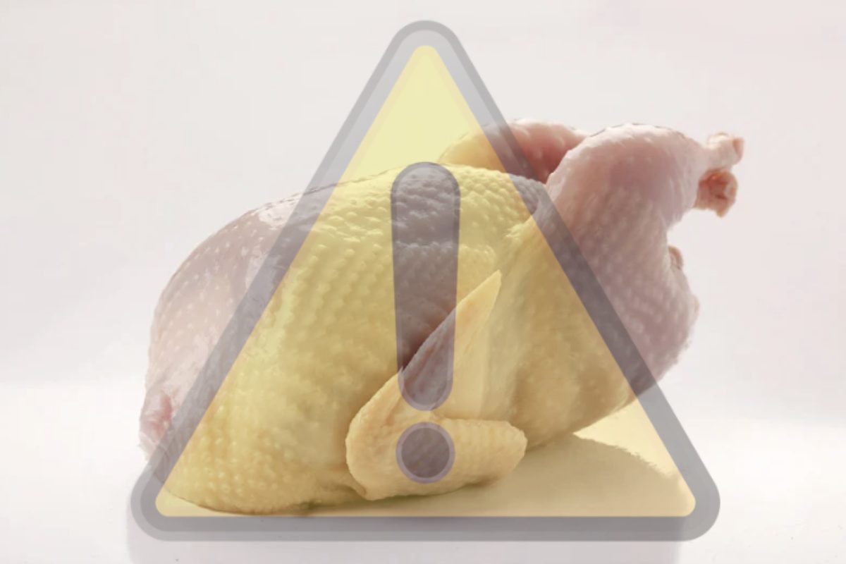 Il “pollo fa bene alla salute” era un mito, ora uno studio italiano rivela i rischi reali: si parla di cancro