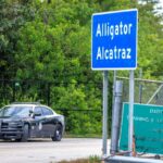 alligator alcatraz