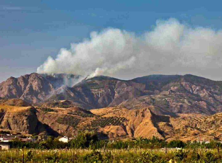 Viaggio nell’Aspromonte che non conosci: tra fuochi sacri e greggi silenziosi, tutti i dettagli