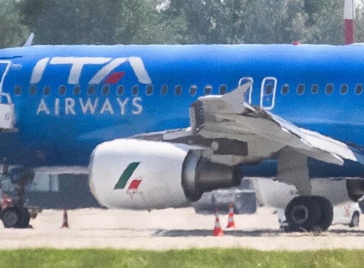 bird strike aereo ita