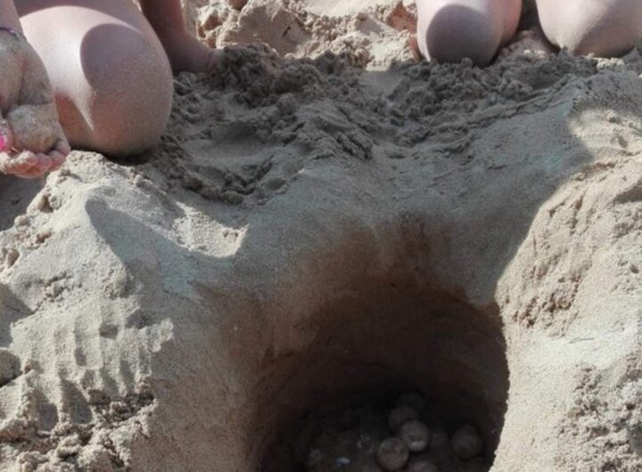 una buca in spiaggia