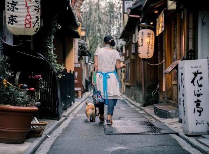 una giapponese cammina in una strada giapponese