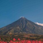 Campi Flegrei, 10 milioni di euro per evacuare in tempi record