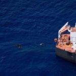 I dispersi in mare denunciati dalla Sea Watch