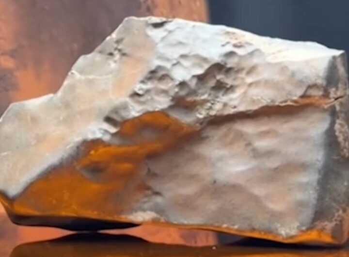 Il più grande frammento di Marte rinvenuto sulla Terra, venduto all'asta per 5 milioni di dollari