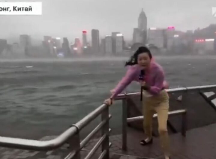 giornalista lotta contro il vento