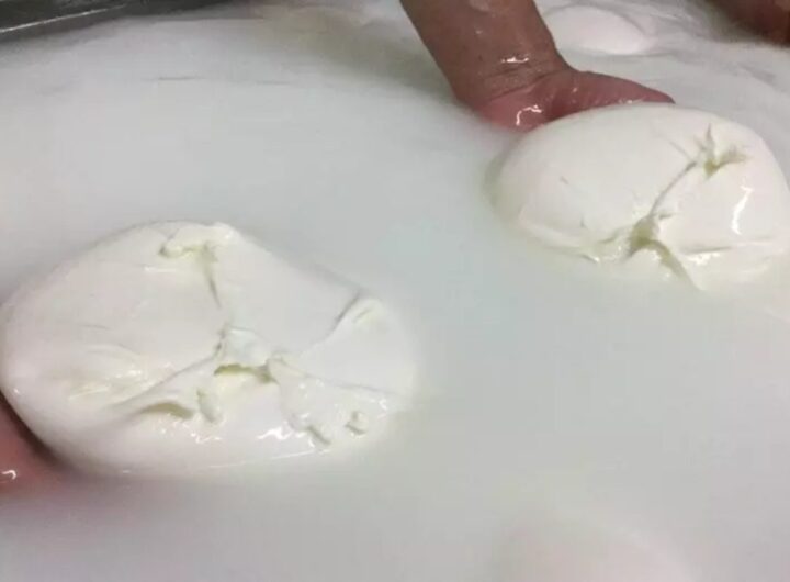 mozzarella di bufala