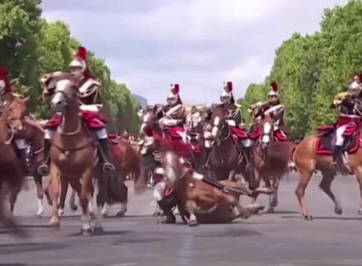 Cavaliere cade da cavallo durante la parata del 14 luglio a Parigi