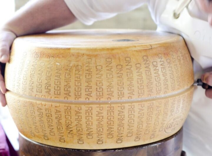 parmigiano reggiano