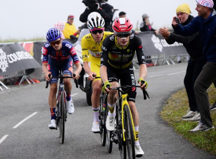 Insaziabile Pogacar, dopo il mondiale ha vinto gli Europei di ciclismo, eecondo Evenepoel, Scaroni quarto, nella foto pogacar