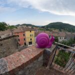 rigenerazione mostra