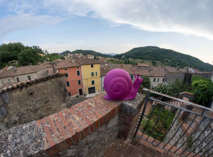 rigenerazione mostra