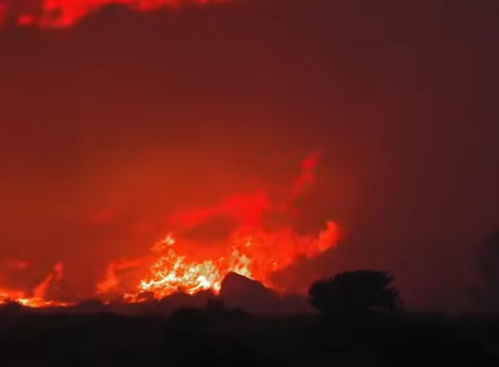 L'incendio che ha colpito la Riserva dello Zingaro
