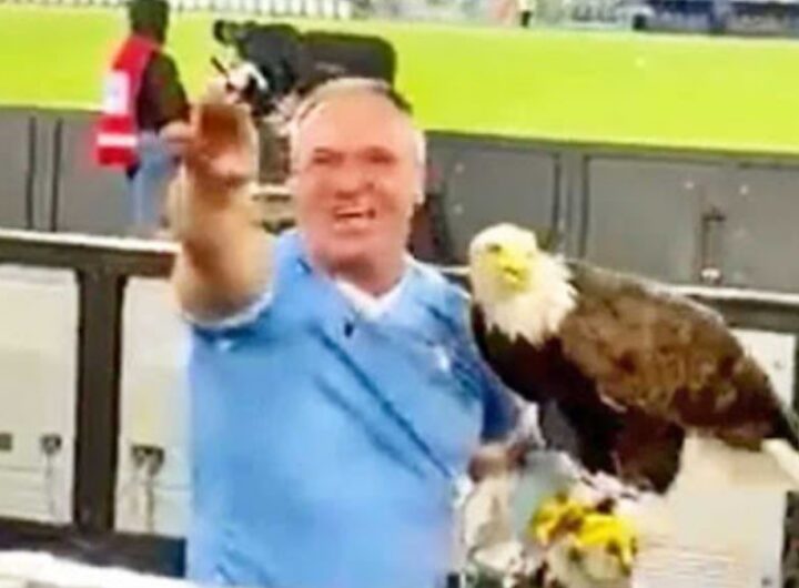 falconiere juan bernabè