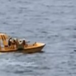 salvataggio bimba in mare