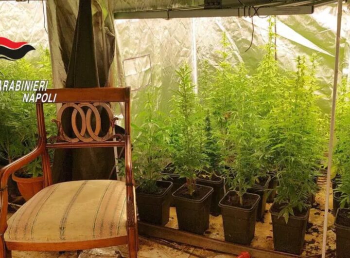 la villa con la serra di marijuana a marano, napoli