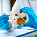 Non ci crederai: questo oggetto quotidiano è un ricettacolo di germi