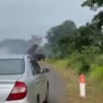 scontri thailandia cambogia