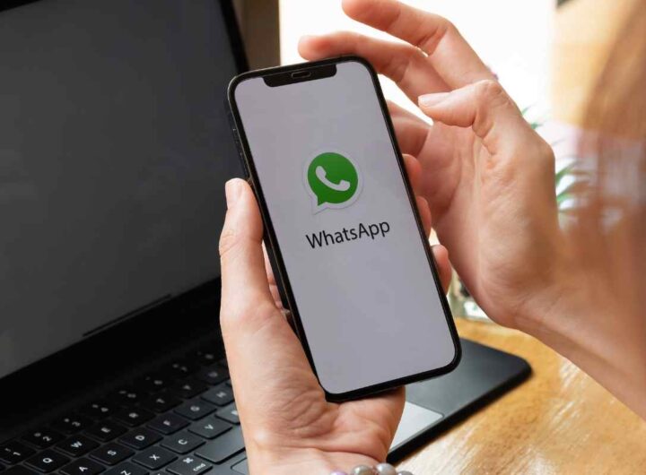 Whatsapp, come attivare la 'modalità Dragone', tutti i dettagli