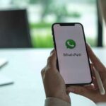 WhatsApp, come attivare la 'modalità cane'
